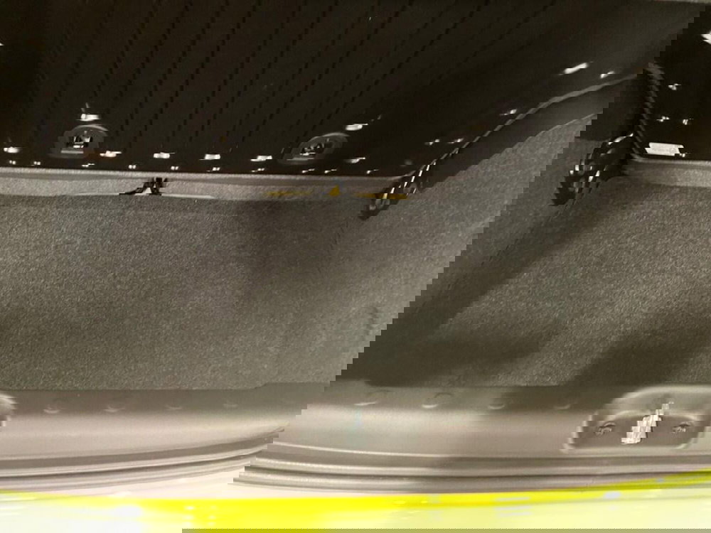 Fiat Panda Cross nuova a Torino (9)