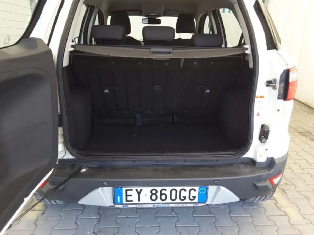 Ford EcoSport usata a Firenze (13)