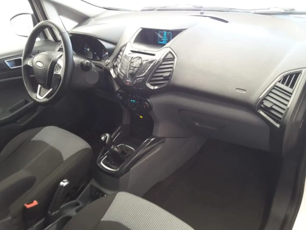 Ford EcoSport usata a Firenze (9)
