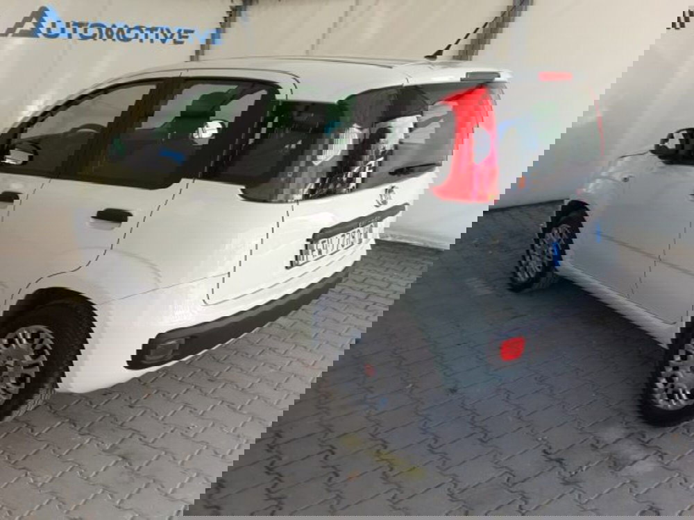 Fiat Panda usata a Firenze (10)