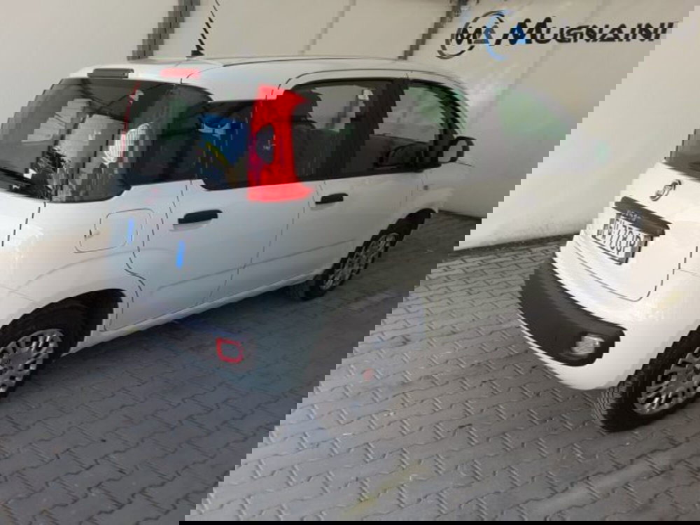 Fiat Panda usata a Firenze (12)