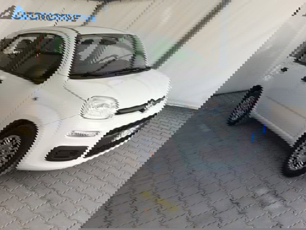 Fiat Panda usata a Firenze (2)