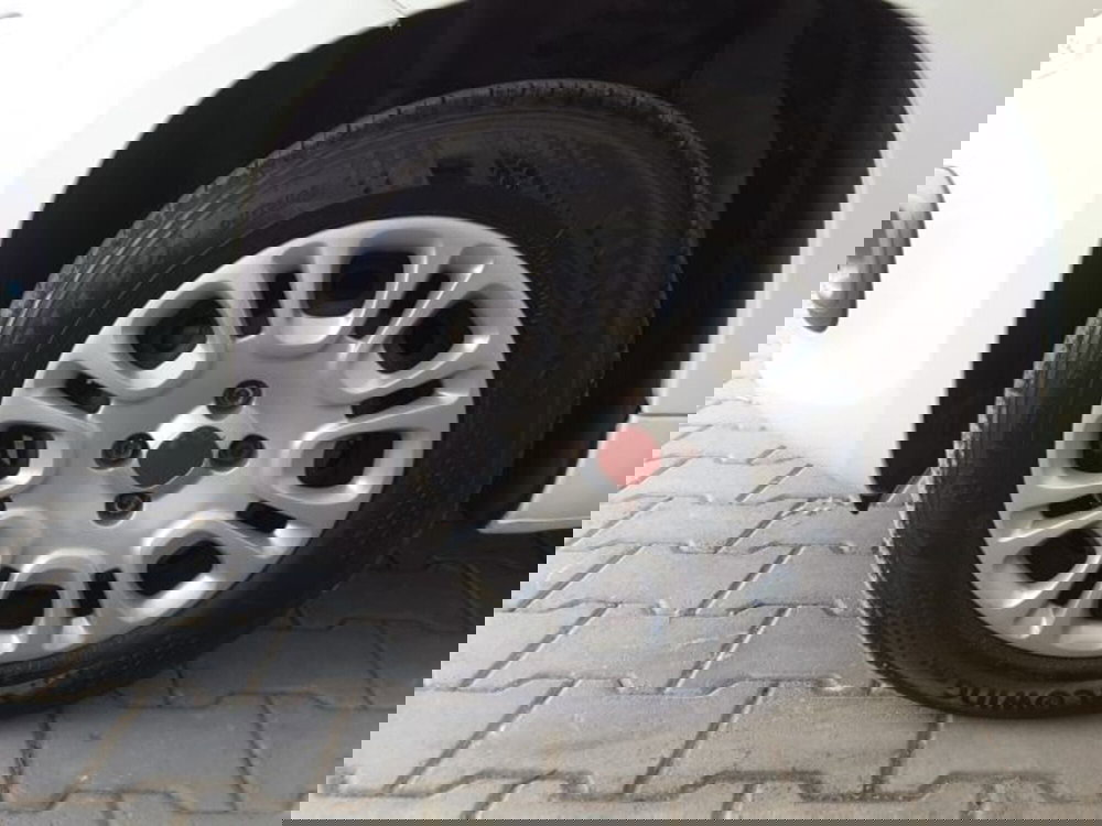 Fiat Panda usata a Firenze (4)