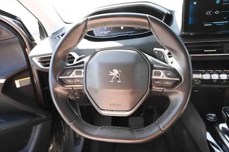 Peugeot 3008 usata a Torino (15)