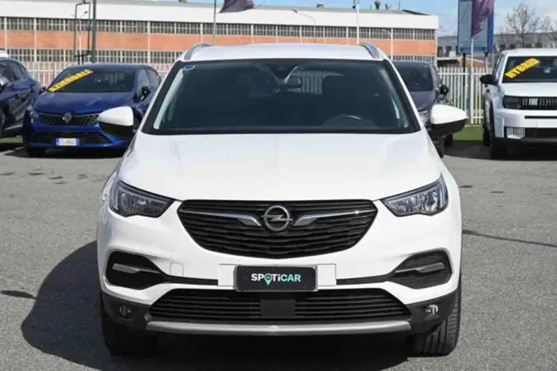 Opel Grandland X usata a Torino (2)