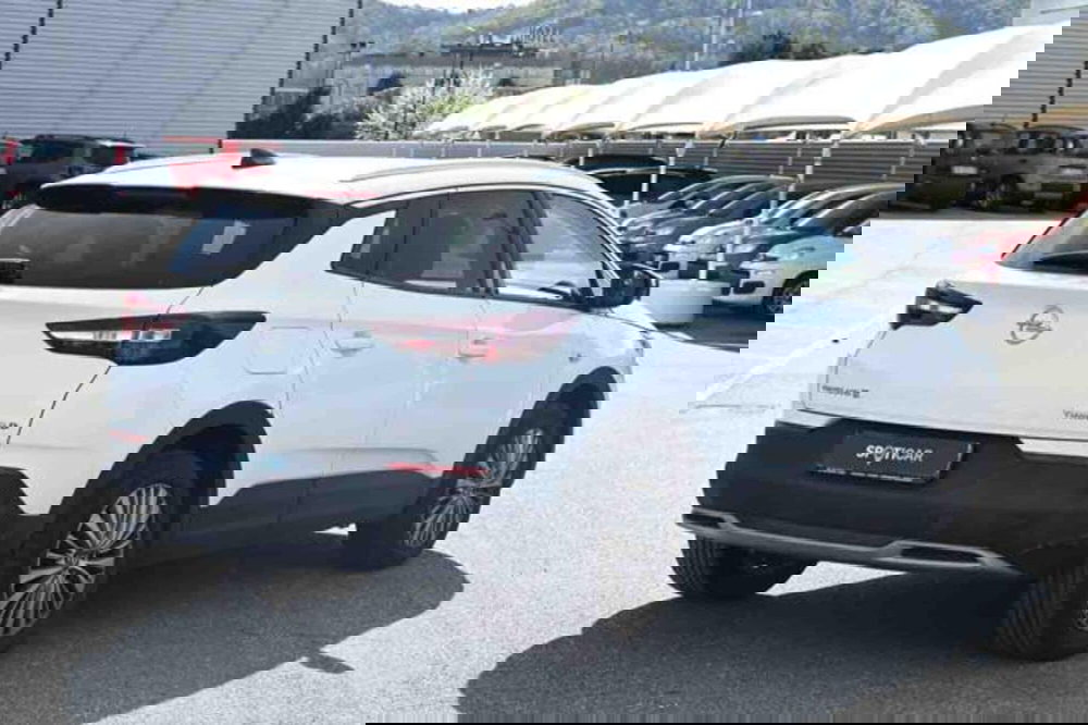 Opel Grandland X usata a Torino (5)