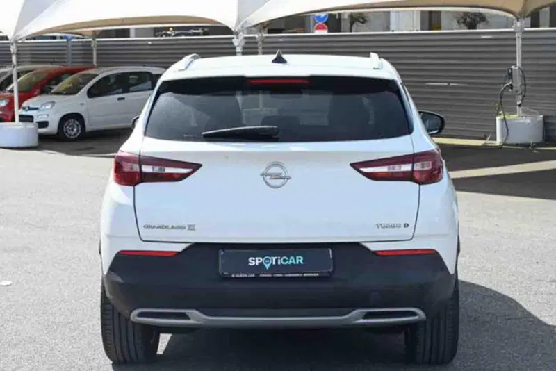 Opel Grandland X usata a Torino (6)