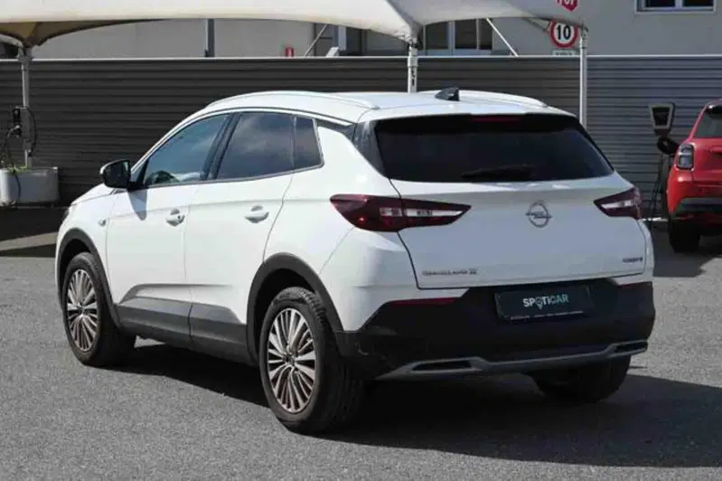 Opel Grandland X usata a Torino (7)