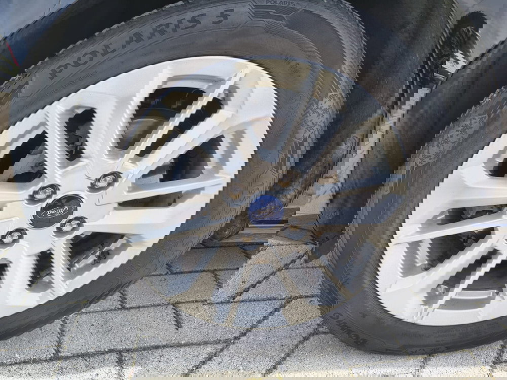 Ford Fiesta usata a Firenze (6)