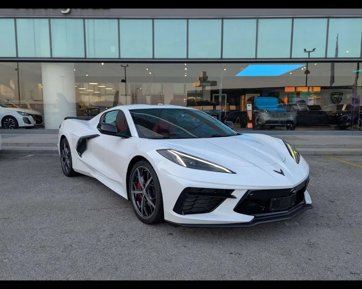 Chevrolet Corvette Stingray nuova a Treviso (15)