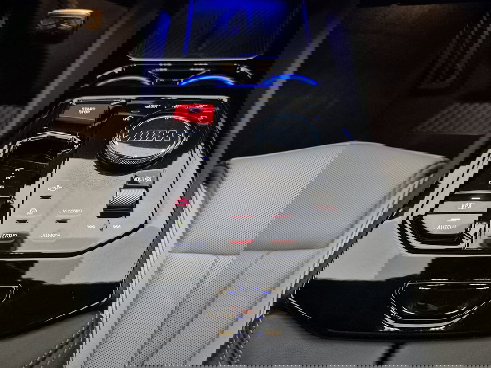 BMW Serie 5 usata a Torino (11)