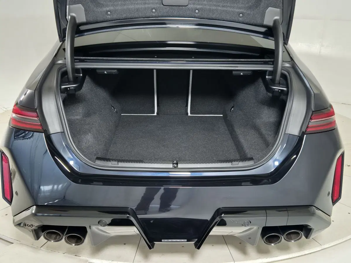 BMW Serie 5 usata a Torino (13)