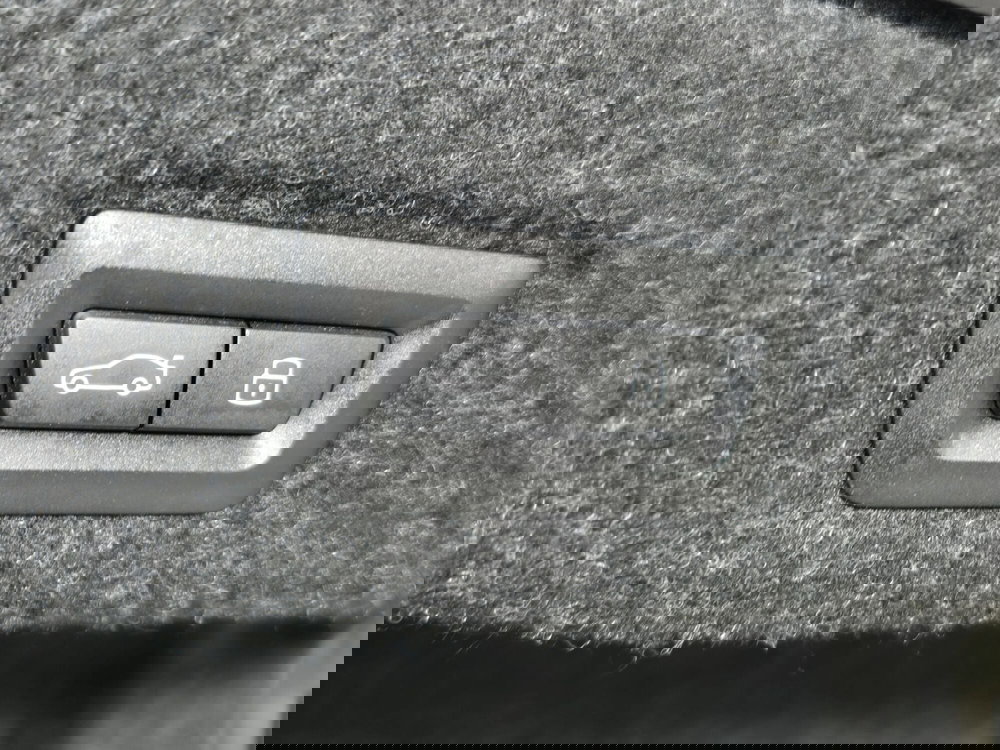 BMW Serie 5 usata a Torino (20)