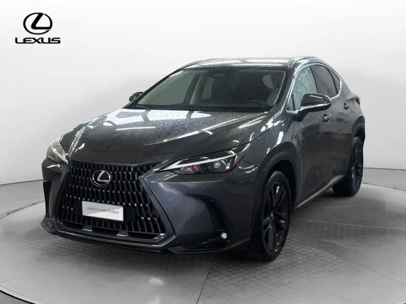 Lexus NX usata a Venezia