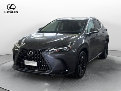 Lexus NX Plug-in 4WD Premium del 2023 usata a Venezia