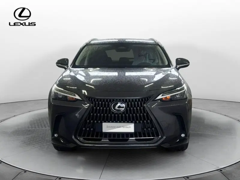 Lexus NX usata a Venezia (2)