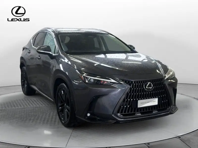 Lexus NX usata a Venezia (3)