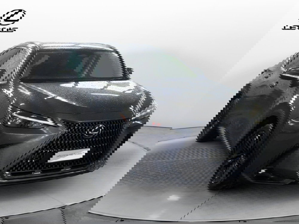 Lexus NX usata a Venezia (3)