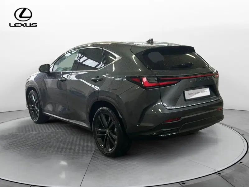 Lexus NX usata a Venezia (5)