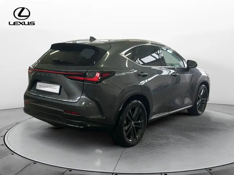 Lexus NX usata a Venezia (7)