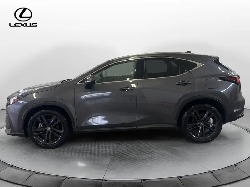 Lexus NX usata a Venezia (8)