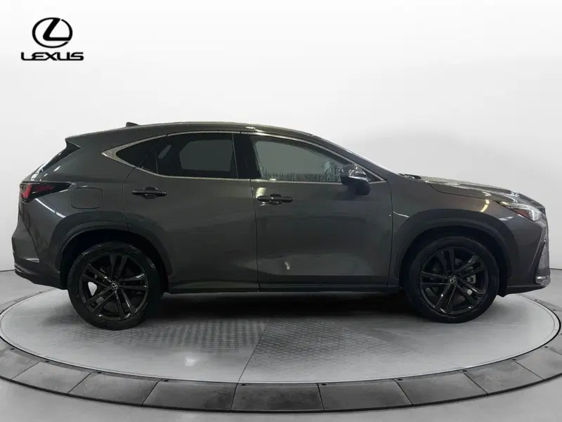 Lexus NX usata a Venezia (9)