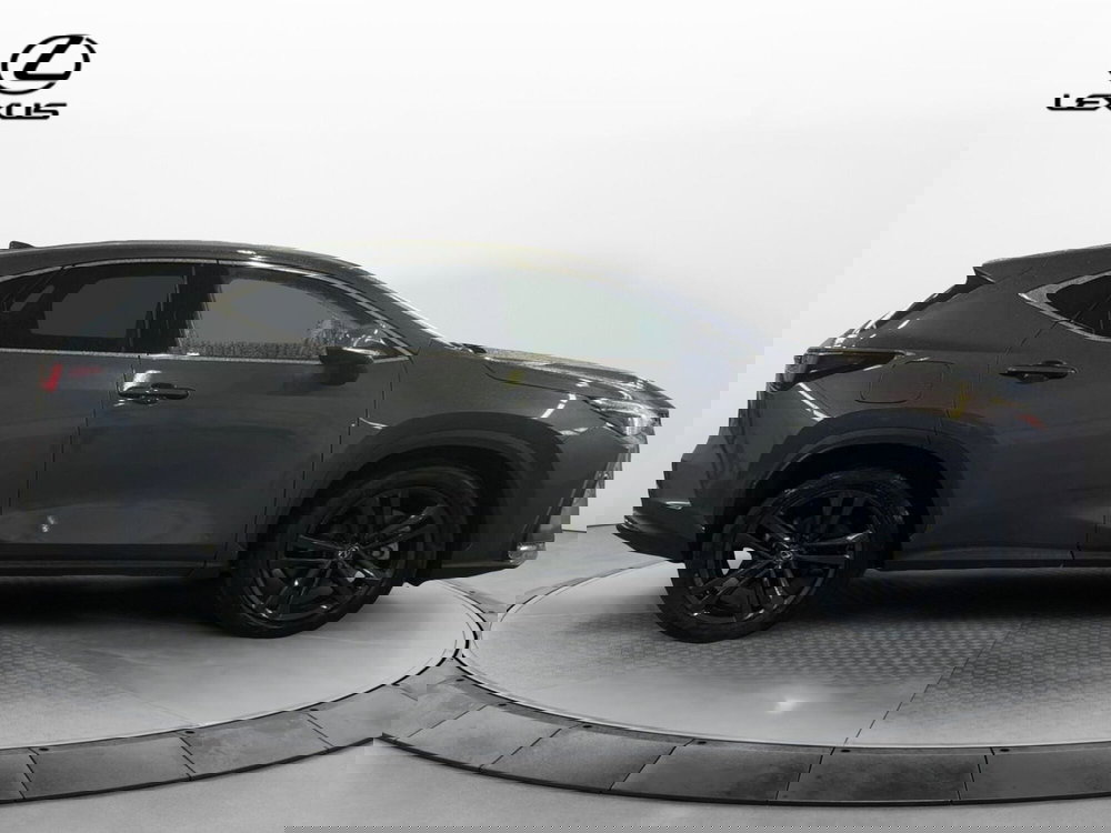 Lexus NX usata a Venezia (9)