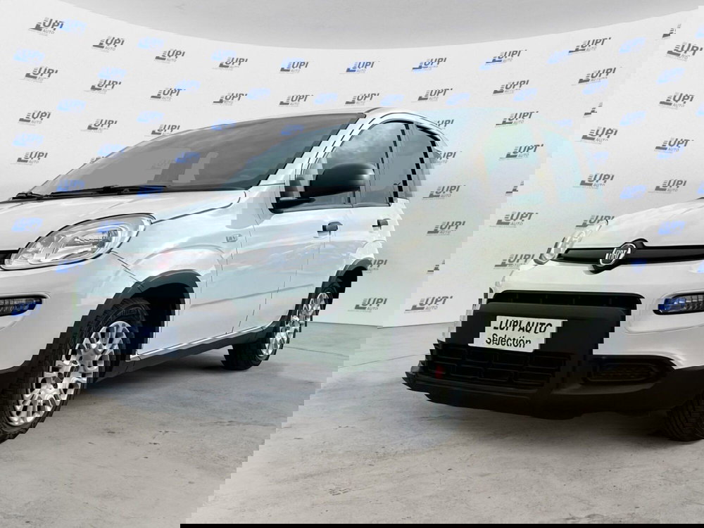 Fiat Panda usata a Pistoia