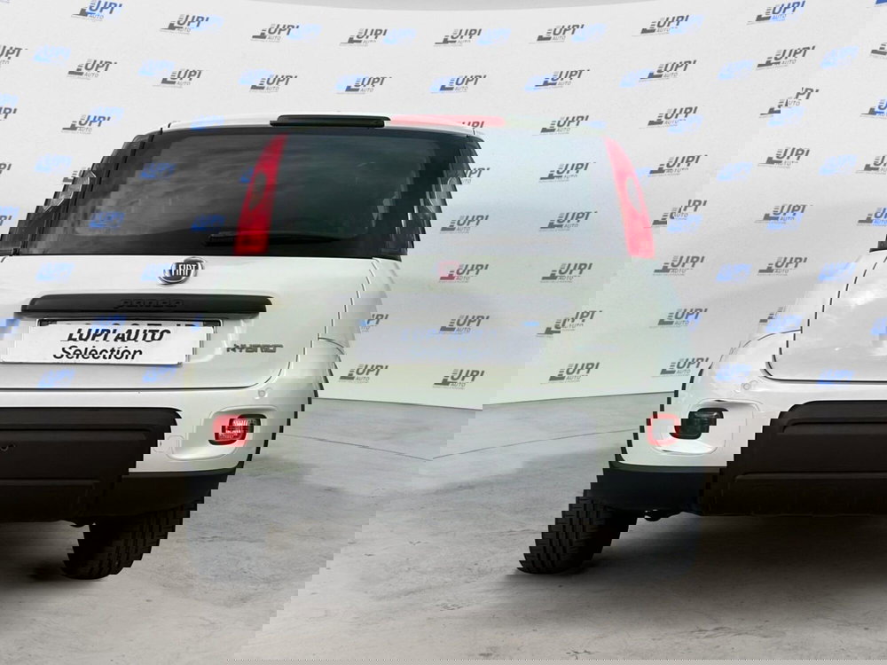 Fiat Panda usata a Pistoia (2)