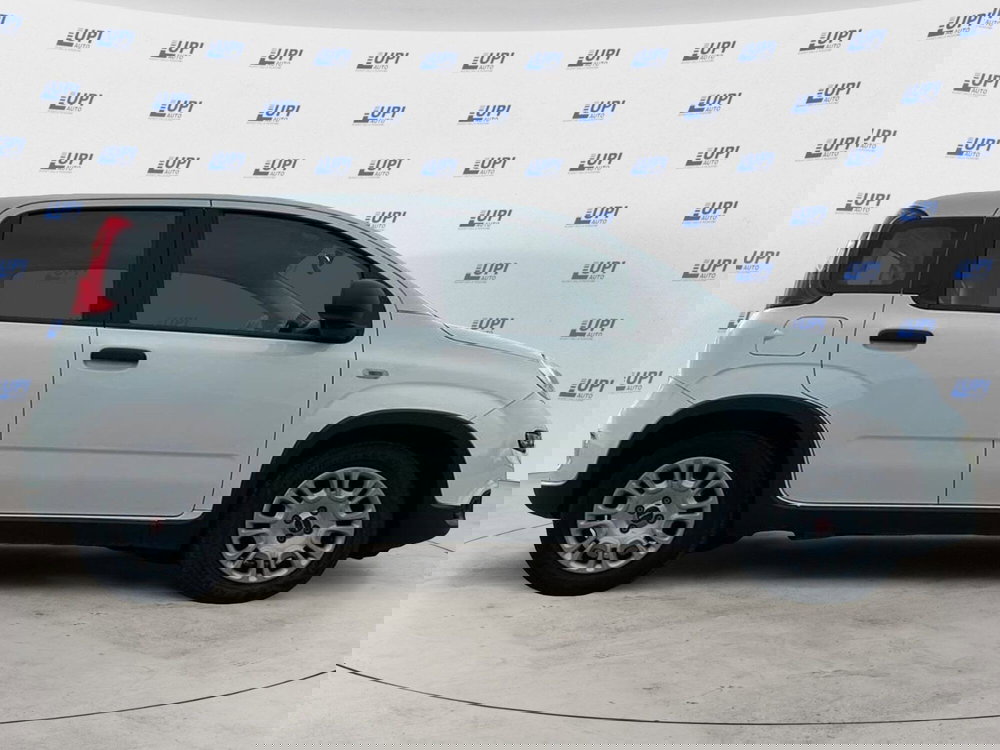 Fiat Panda usata a Pistoia (3)