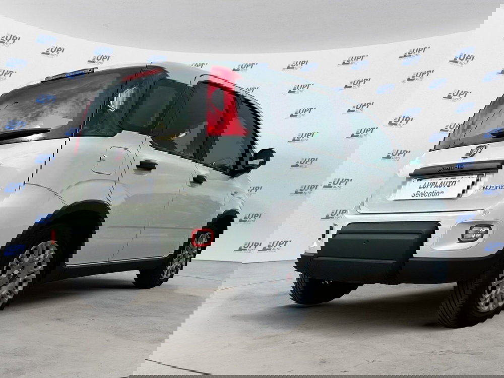 Fiat Panda usata a Pistoia (4)