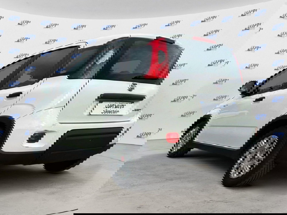 Fiat Panda usata a Pistoia (5)