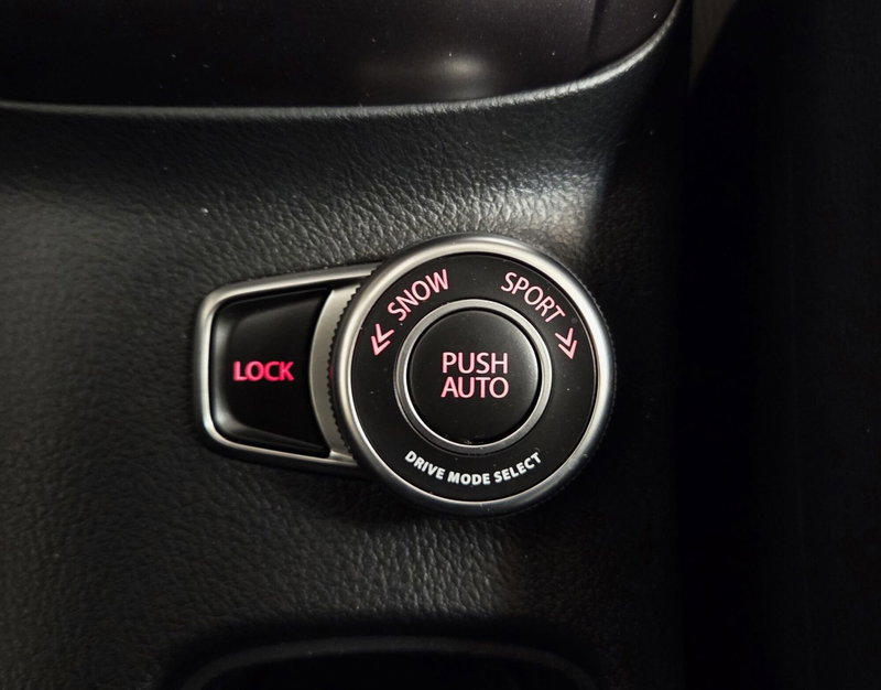 Suzuki S-Cross usata a Pavia (10)