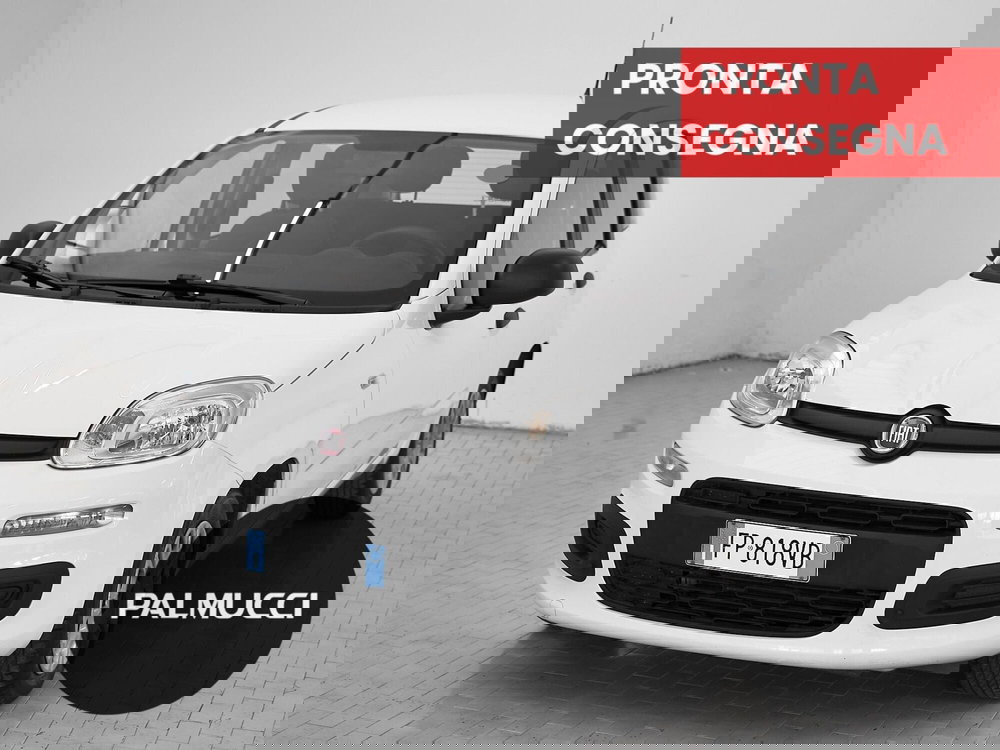 Fiat Panda usata a Prato