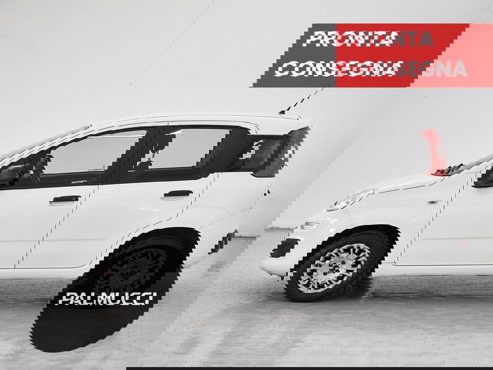 Fiat Panda usata a Prato (10)