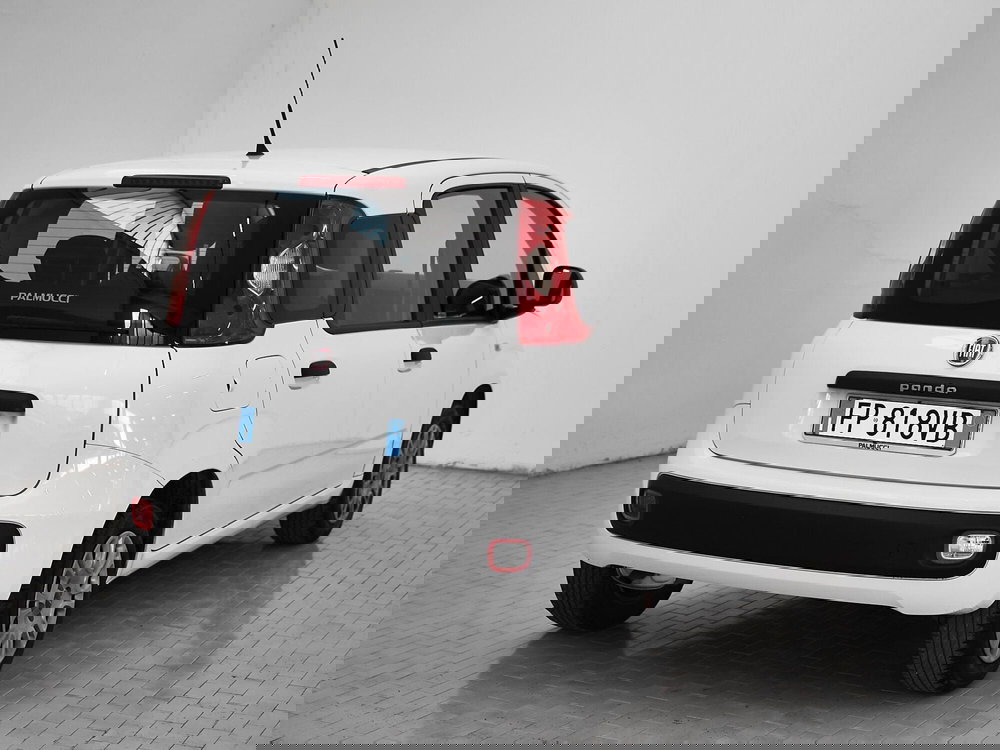 Fiat Panda usata a Prato (16)