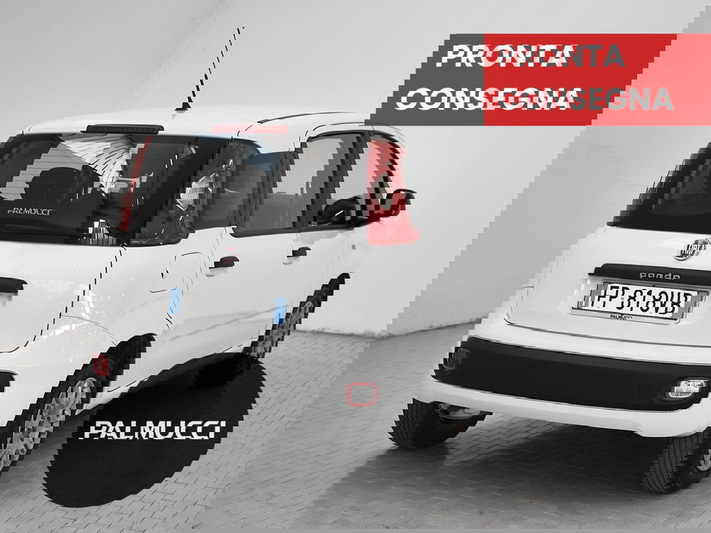 Fiat Panda usata a Prato (3)