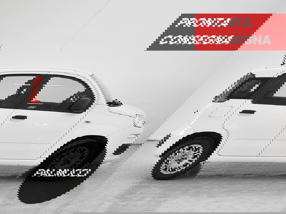 Fiat Panda usata a Prato (4)