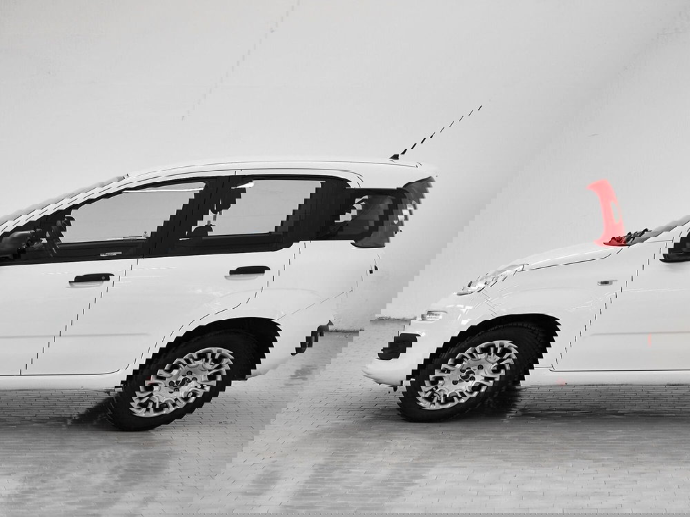 Fiat Panda usata a Prato (5)