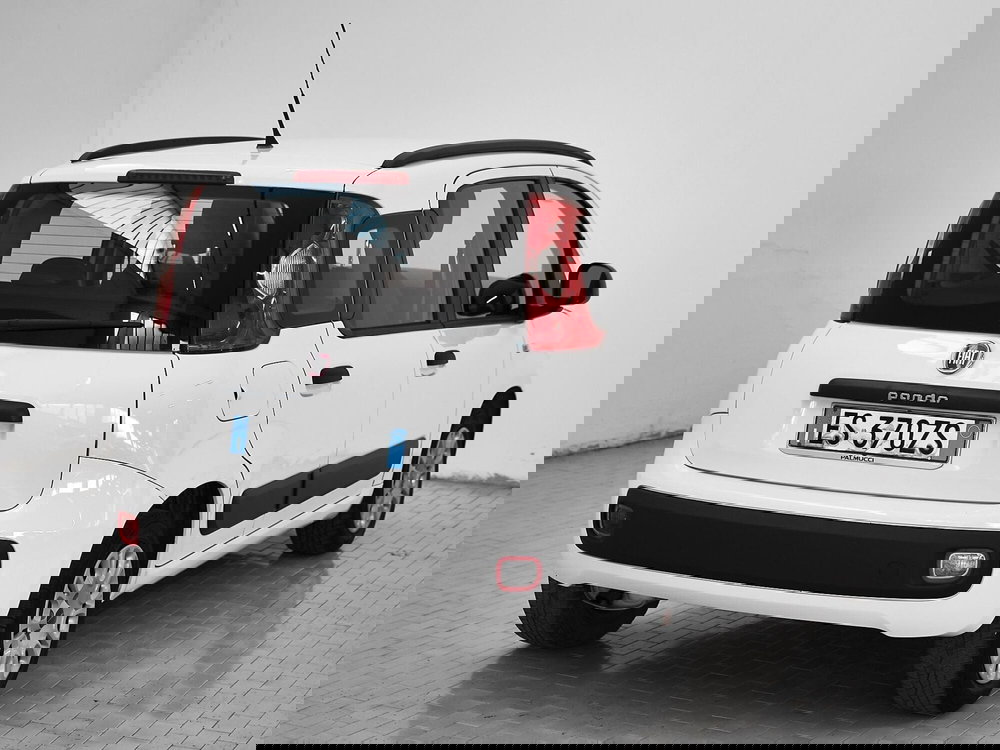 Fiat Panda usata a Prato (2)