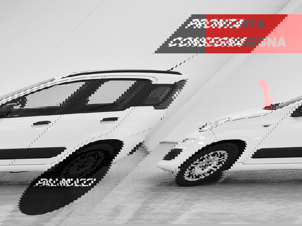 Fiat Panda usata a Prato (3)