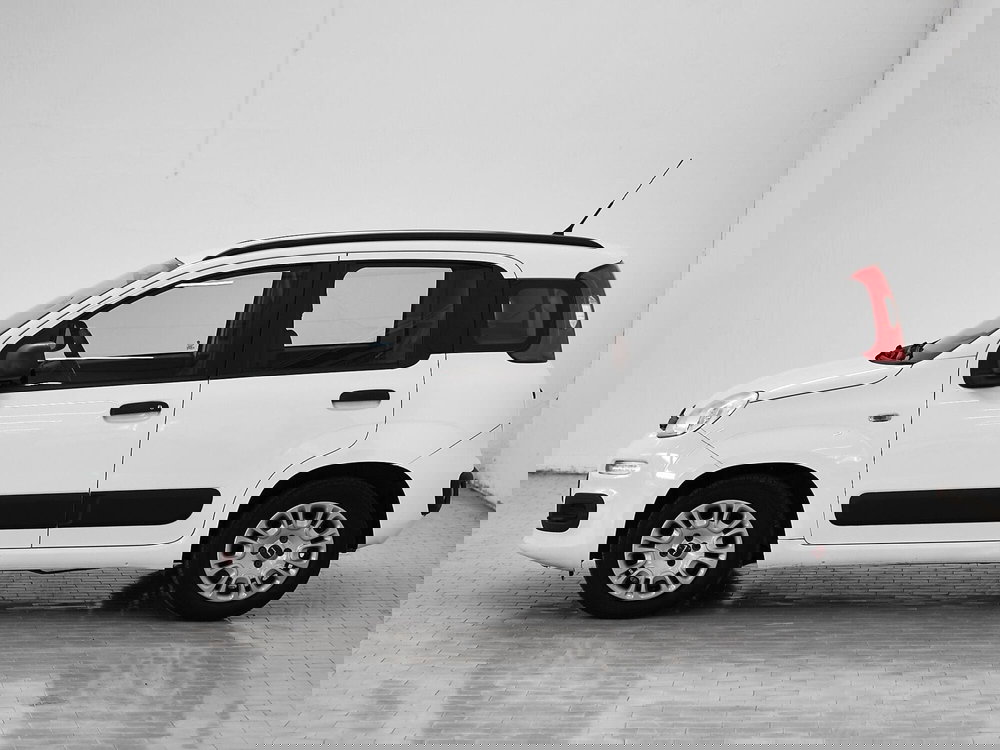 Fiat Panda usata a Prato (5)