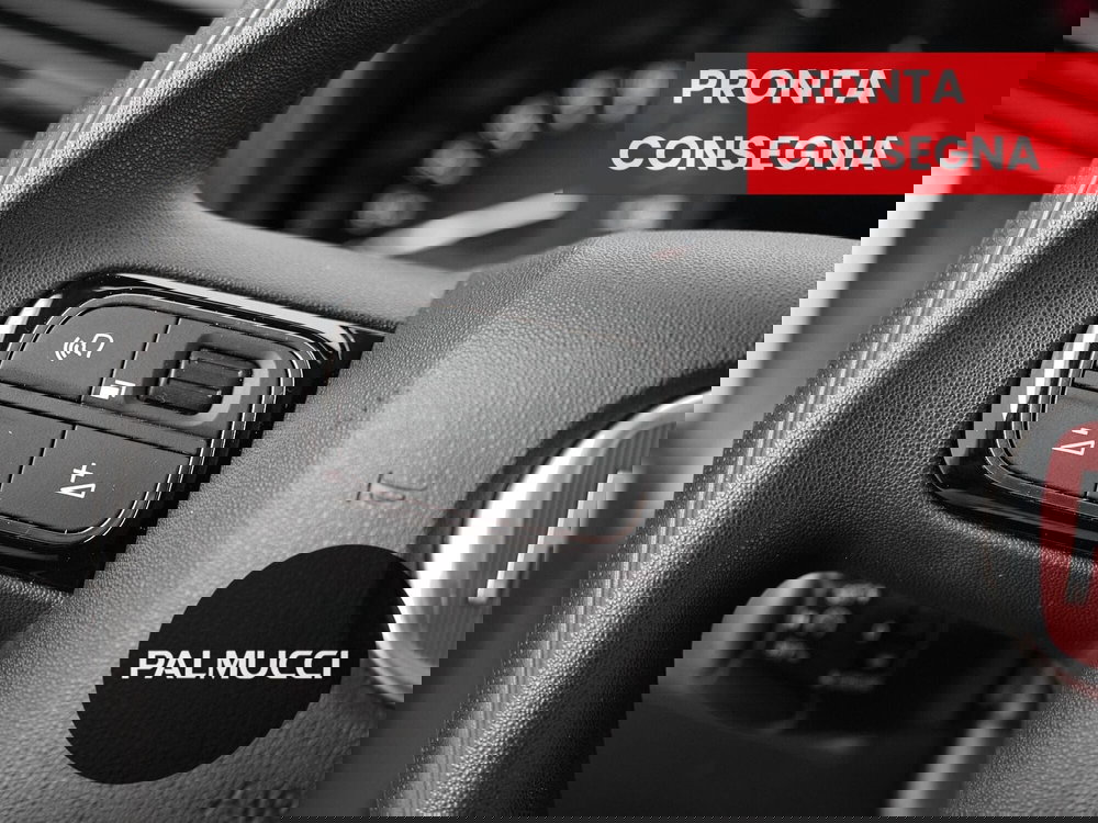 Fiat Doblò Furgone usata a Prato (8)