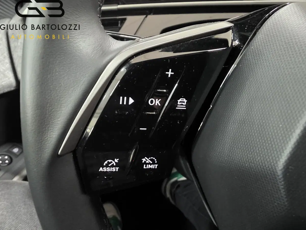 Peugeot 3008 usata a Prato (14)