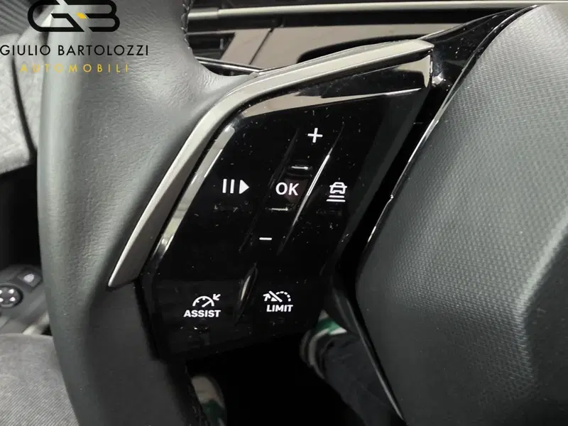 Peugeot 3008 usata a Prato (14)