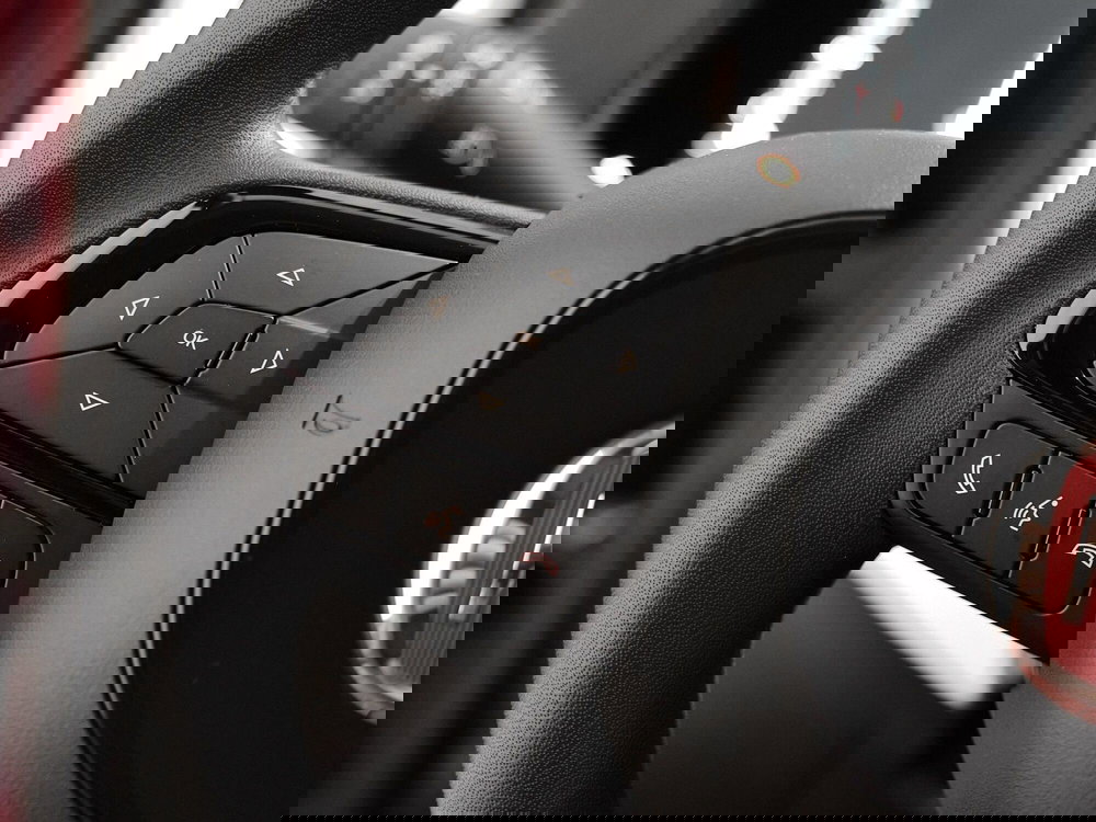 Fiat Panda Cross nuova a Prato (9)