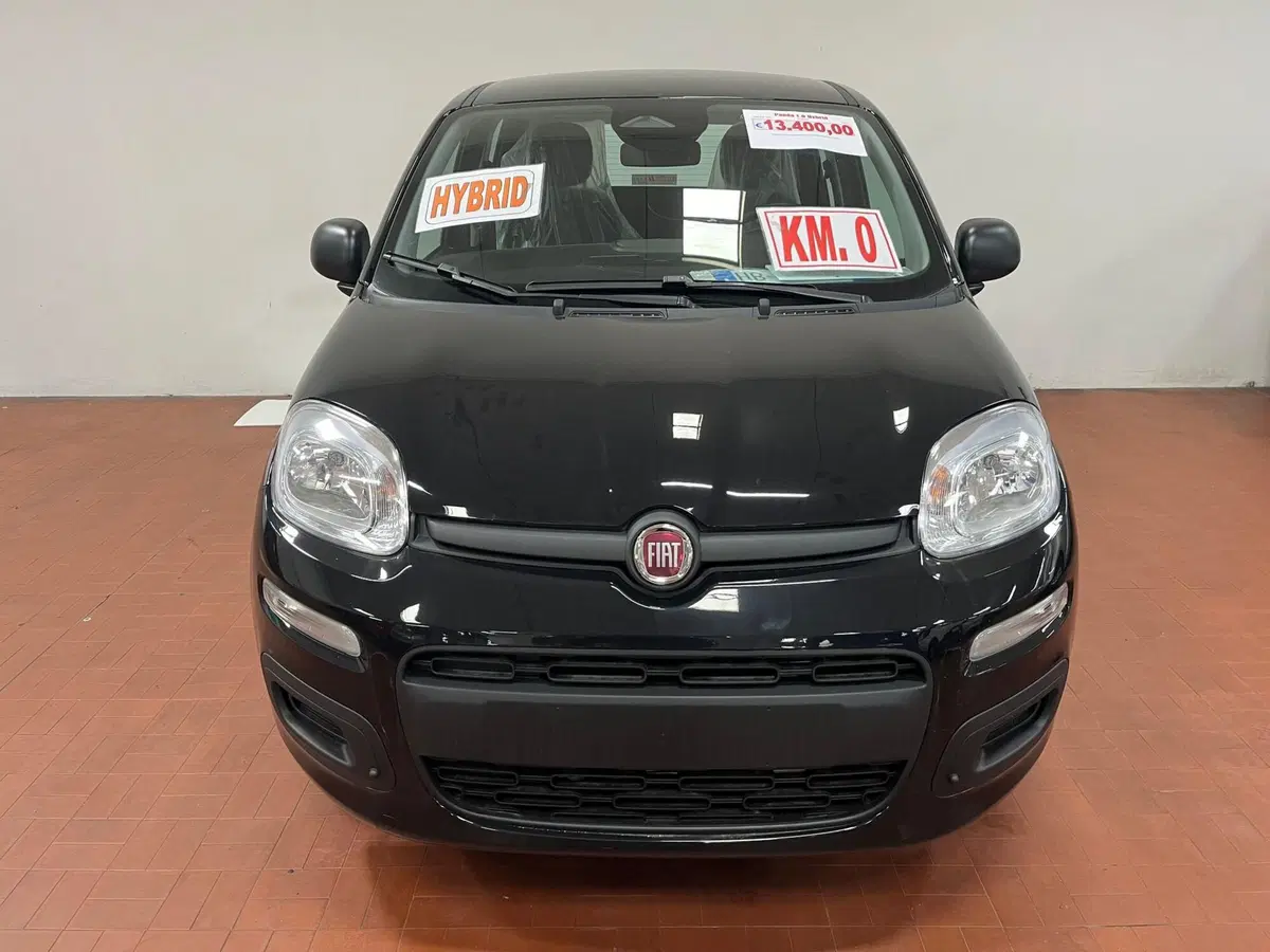 Fiat Pandina nuova a Lucca (2)