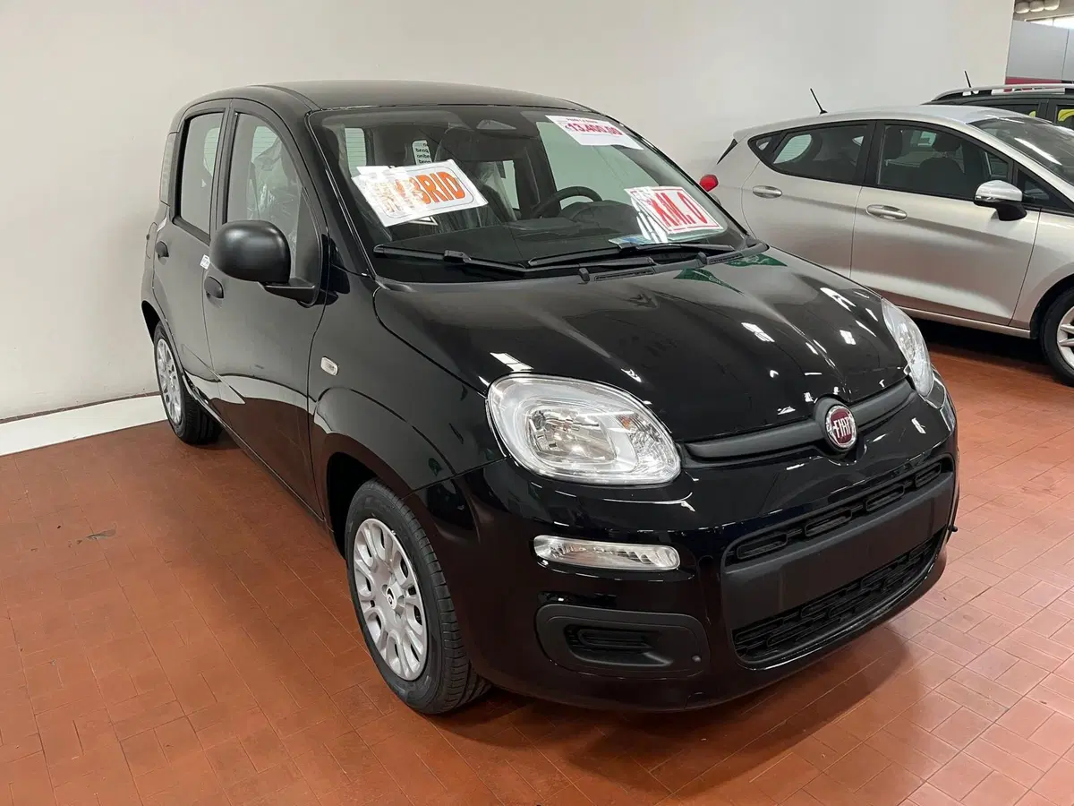Fiat Pandina nuova a Lucca (3)