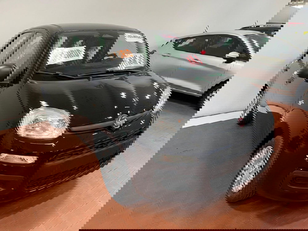 Fiat Pandina nuova a Lucca (3)