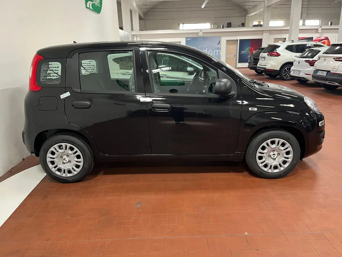 Fiat Pandina nuova a Lucca (4)